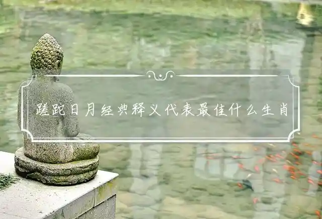 蹉跎日月经典释义代表最佳什么生肖，释义解释精准一肖