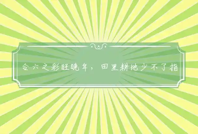 合六之彩旺晚年,田里耕地少不了