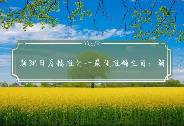 蹉跎日月精准打一最佳准确生肖，解释精准词语深度释义