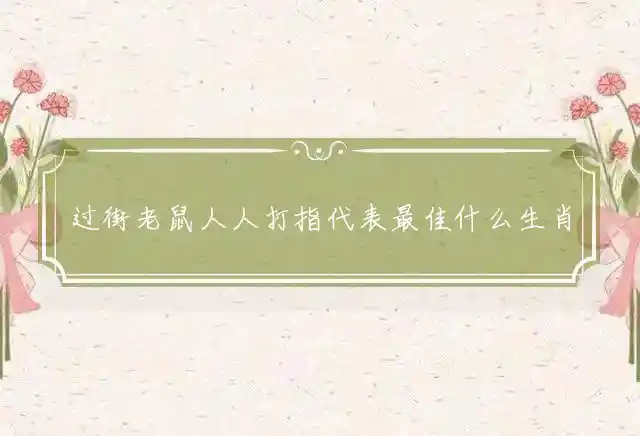 过街老鼠人人打指代表最佳什么生肖谜团精选释义解释 