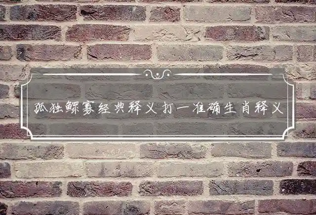 孤独鳏寡经典释义打一准确生肖释义谜底深度解释