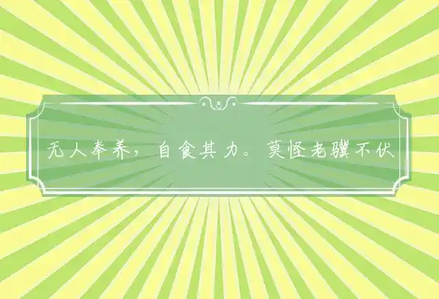 无人奉养,自食其力。莫怪老骥不伏枥