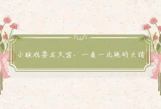 小猴戏耍龙天宫,一南一北跑码头猜指一最佳精准生肖,最佳成语解释释义