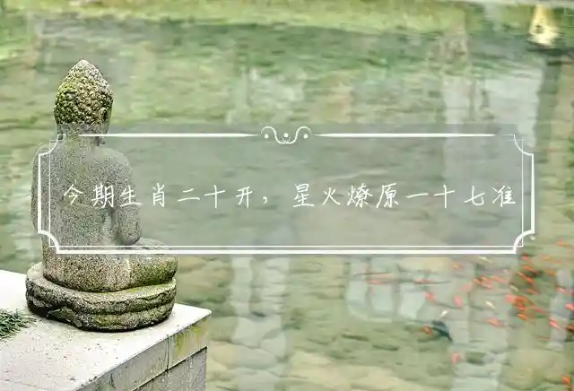 今期生肖二十开,星火燎原一十七准确代表是指什么生肖,词语精选释义解释
