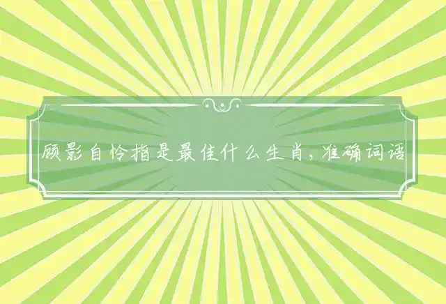顾影自怜指是最佳什么生肖,准确词语释义解释 