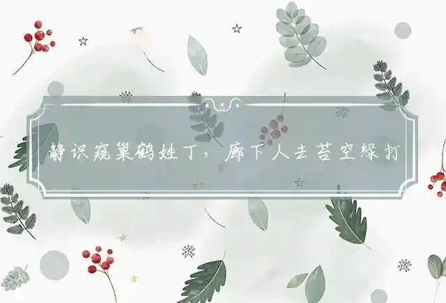 静识窥巢鹤姓丁,廊下人去苔空绿