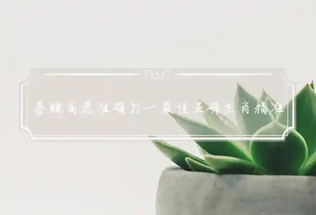 秦镜高悬准确打一最佳正确生肖精准解释释义