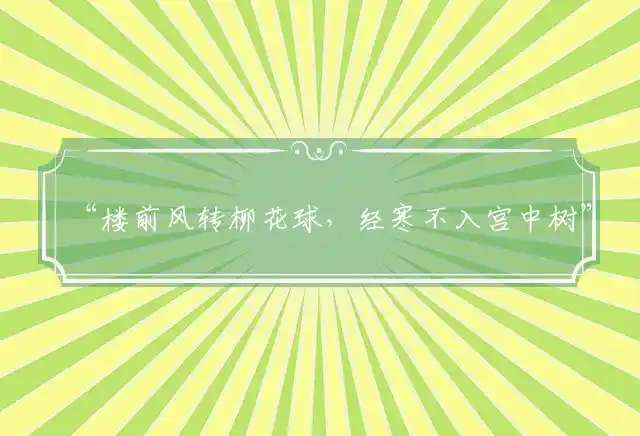 楼前风转柳花球,经寒不入宫中树是什么生肖