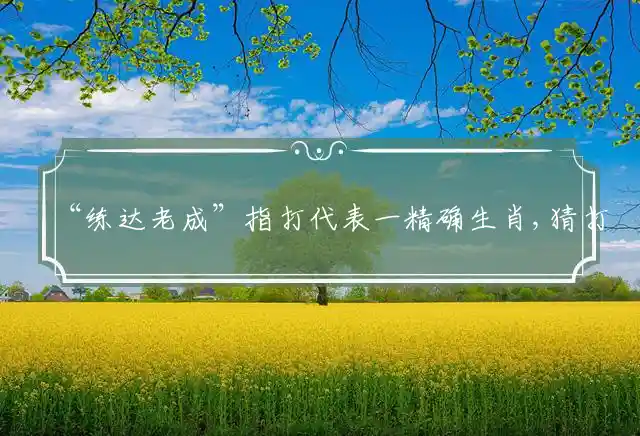 “练达老成”指打代表一精确生肖,猜打一最准确词语释义解释 