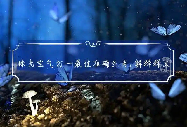 珠光宝气打一最佳准确生肖,解释释义成语解读 