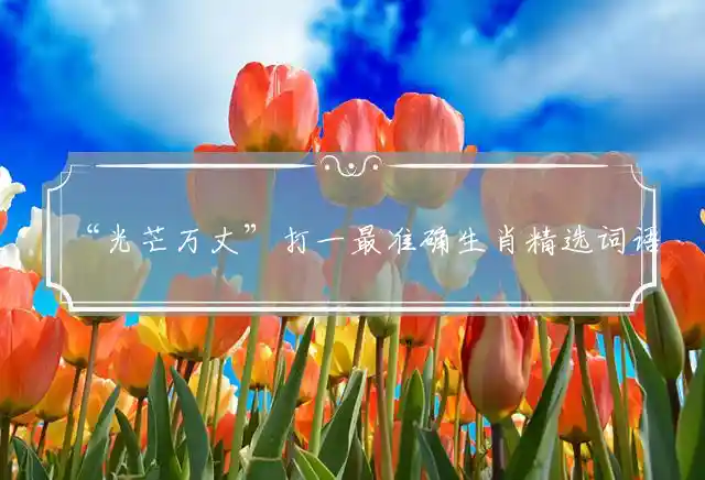 光芒万丈是什么生肖