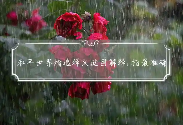 和平世界是什么生肖