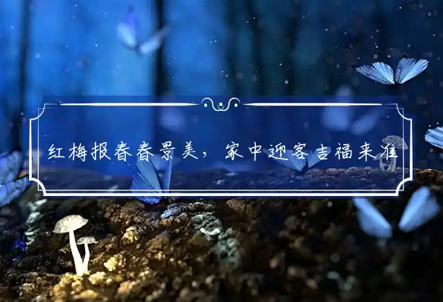 红梅报春春景美，家中迎客吉福来准确代表什么生肖，全面落实释义解释 