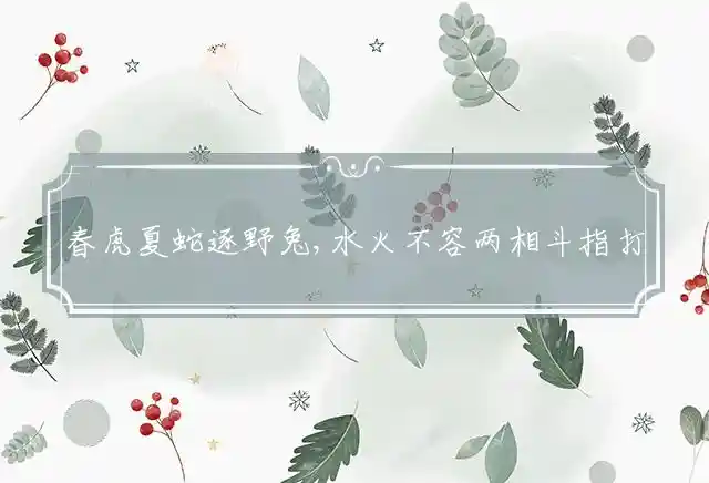 春虎夏蛇逐野兔,水火不容两相斗指打一代表最佳准确生肖,谜团精选释义解释 