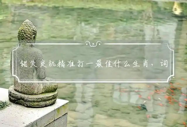 错失良机精准打一最佳什么生肖，词语解释谜底释义解析