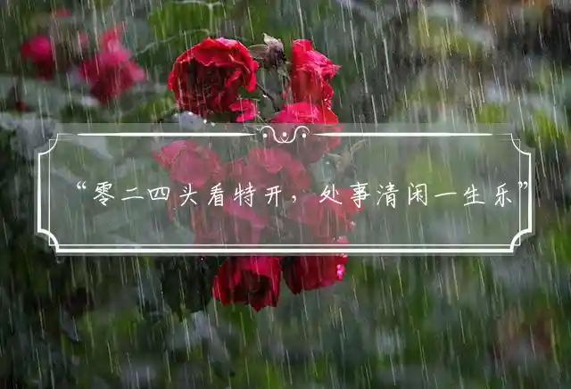 “零二四头看特开，处事清闲一生乐”打一精准最佳生肖，词语解释独家释义