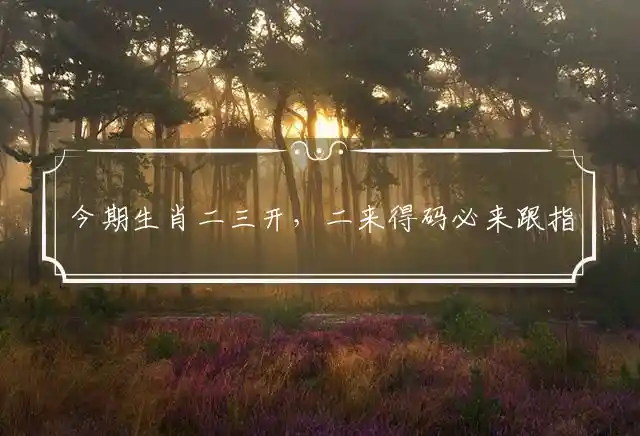 今期生肖二三开,二来得码必来跟