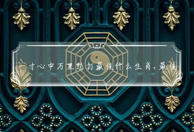 一寸心中万里愁是什么生肖