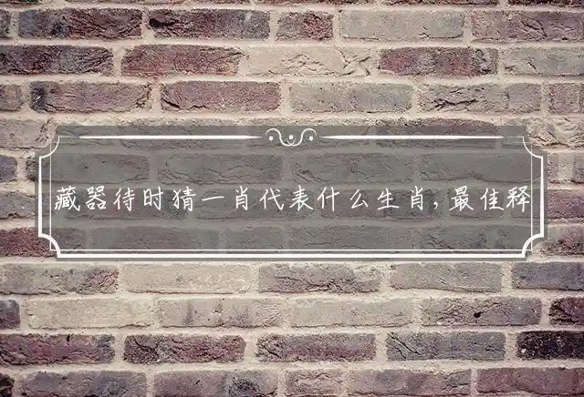 藏器待时猜一肖代表什么生肖,最佳释义解释
