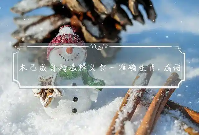 木已成舟精选释义打一准确生肖,成语释义重点作答详解