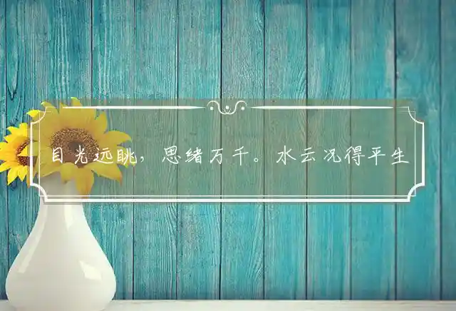 目光远眺，思绪万千。水云况得平生趣猜指最佳准确生肖，最佳成语解释释义 