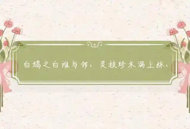 白鸠之白谁与邻，灵枝珍木满上林，群雁无首难成行，牛群走路看头牛是指打最佳准确生肖谜团精选释义解释 