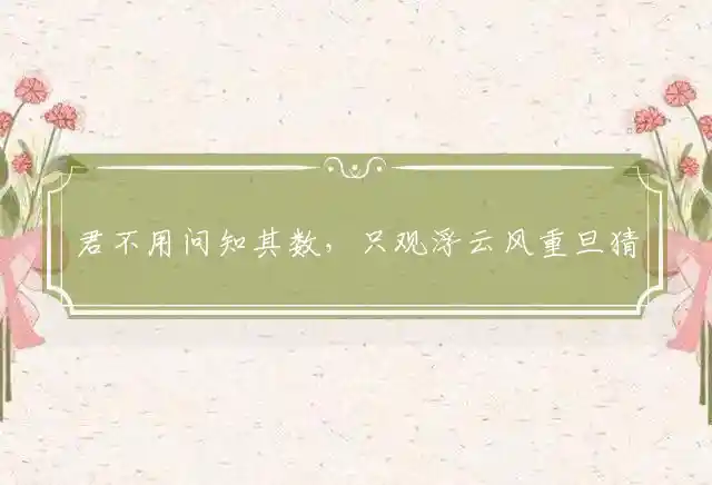 君不用问知其数，只观浮云风重旦猜打一最佳精准生肖，生肖释义成语解释解 