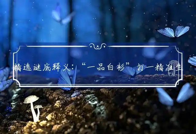 精选谜底释义:“一品白衫”打一精准生肖,精选词语释义详解