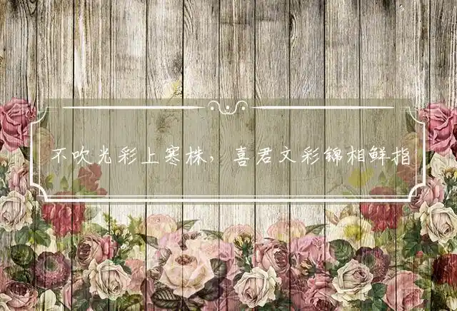 不吹光彩上寒株，喜君文彩锦相鲜指一正确精准生肖，词语解释谜底释义