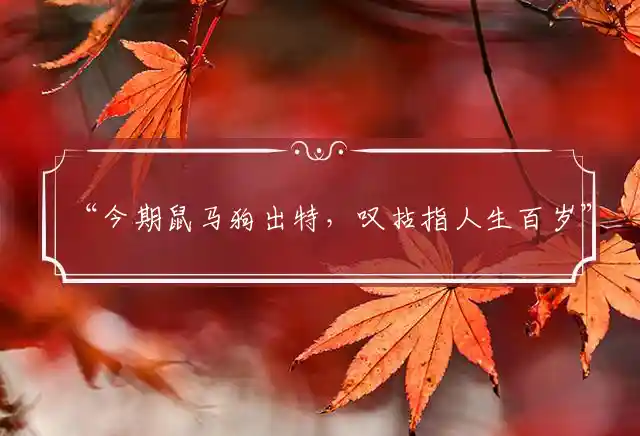 “今期鼠马狗出特，叹拈指人生百岁”打一最佳精准生肖,精选词语释义解释