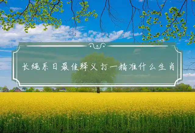 长绳系日最佳释义打一精准什么生肖,解释释义成语解读