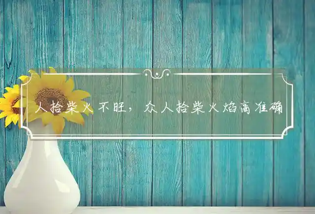 人拾柴火不旺，众人拾柴火焰高准确猜指最佳什么生肖，释义词语赏析解释