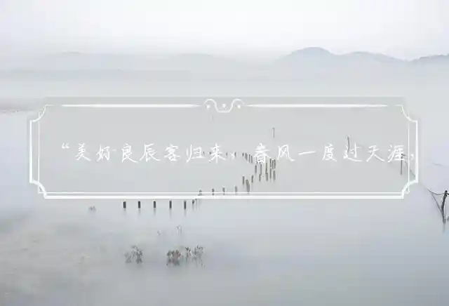 “美好良辰客归来，春风一度过天涯，五走九后归一出，六六大顺三八来”猜打打一精准什么生肖,最佳释义成语精选解释