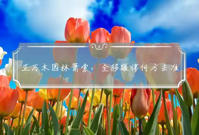 正万木园林萧索，全移暖律何方去准确释义代表最佳什么生肖,独家释义词语完美解答