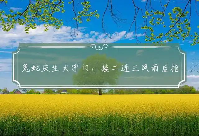 兔蛇庆生犬守门，接二连三风雨后指一精准最佳生肖，释义词语精选解释