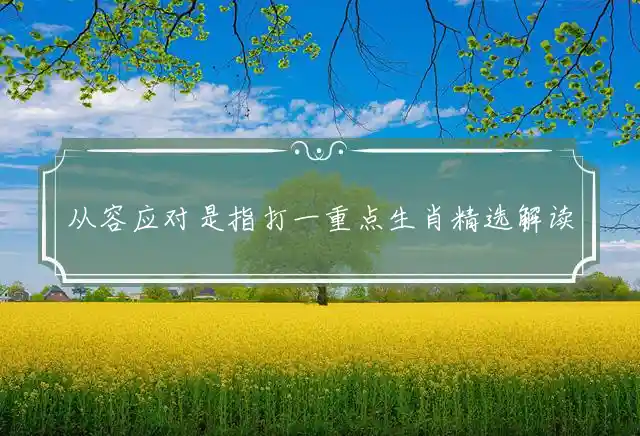 从容应对是指打一重点生肖精选解读解释释义