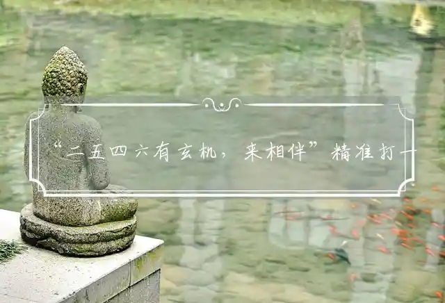 “二五四六有玄机，来相伴”精准打一最佳什么生肖，词语解释谜底释义解析