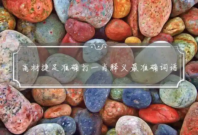 高材捷足准确打一肖释义最准确词语深度解读！