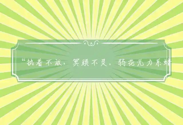 “执着不放，冥顽不灵。弱花无力系蜻蜓”猜打一代表精准哪个生肖释义解释