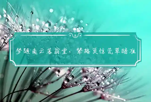 梦随南云落翁堂，辇路莫惊荒草暗准确指打一精准生肖谜底解释释义