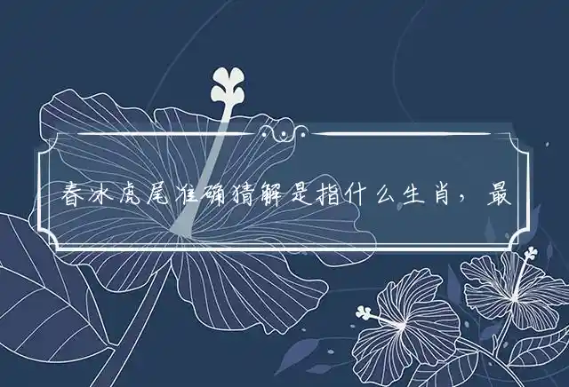 春冰虎尾准确猜解是指什么生肖，最佳解释词语释义